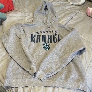 Hanes EcoSmart Gray Hoodie